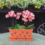 Rectangle Ceramic Orchid Pot 10In Orchid Pots with Holes for Premium Ceramic Orchid Planter for Indoor and Outdoor Use Drainage & Air Circulation Red Orchid Planter for Repotting or New Plants