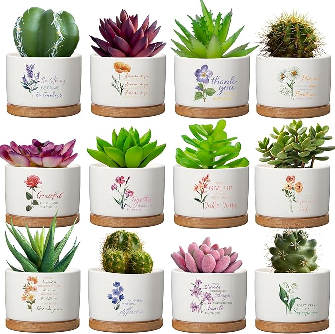 Funnymoom 12 Pcs Inspirational Succulent Pot Bulk Teacher Appreciation Gift Floral Ceramic Planter with Bamboo Tray Thank You Gifts for Volunteer Coworker Employee Office, Plant Excluded (Stylish)