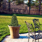 30" Artificial Boxwood Topiary Trees Outdoor Set of 2 - UV Resistant Faux Plants for Front Porch Outside Planter, Realistic Fake Cone-Shaped Bushes & Shrubs 2.5ft