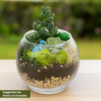 Cute Farms Glass Terrarium Kit | Just Add Your Own Plants (One Glass Bowl)