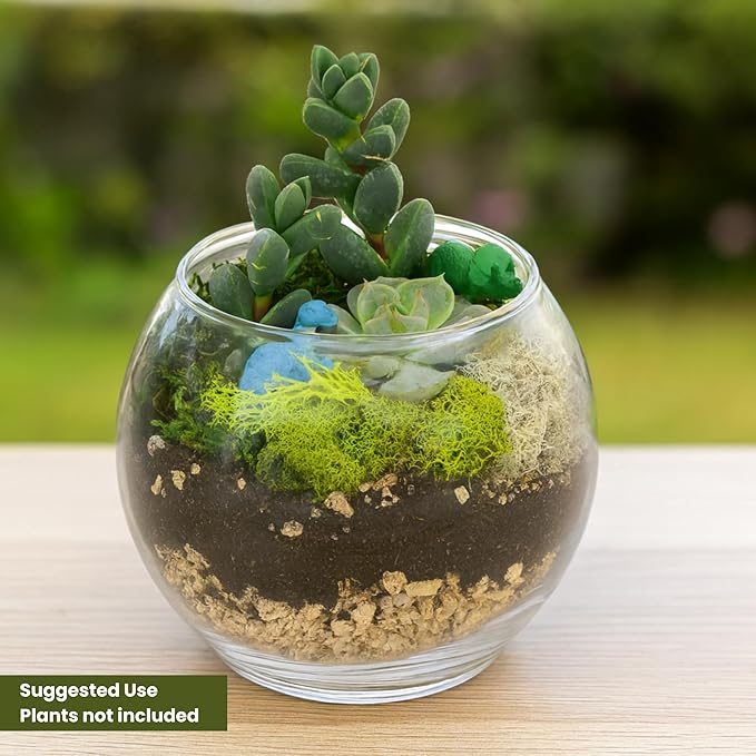 Cute Farms Glass Terrarium Kit | Just Add Your Own Plants (One Glass Bowl)