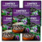 Comfrey Seeds for Planting - Symphytum Officinale Medicinal Perennial Herb for Compost Tea & Natural Skincare - True Slippery Root Non-GMO Heirloom - Survival Garden Seeds (5 Pack)