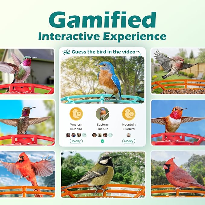 Bird Feeder with Camera, Smart Bird House with Cam for Outside, 2K HD Auto Record Video, AI Identification & Instant Alerts, Solar Powered, Bird Watching Cam for Dad Grandpa Birdlovers, Light Blue