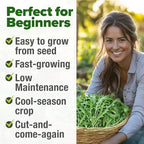 HOME GROWN Arugula Roquette Seeds 4350+ Bulk Pack Heirloom Non-GMO, High Germination, Peppery Salad Greens, Indoor Outdoor Hydroponic Garden, Microgreens, Year-Round Harvest (Eruca vesicaria)