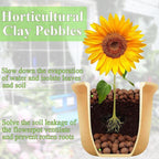 FANTIAN 5 lbs Clay Pebbles for Plants, 8-12 mm Leca Clay Balls for Indoor Plants, Orchid Potting Mixes, Hydroponic Growing, Aquaponics, Potted Top Dressing and Drainage