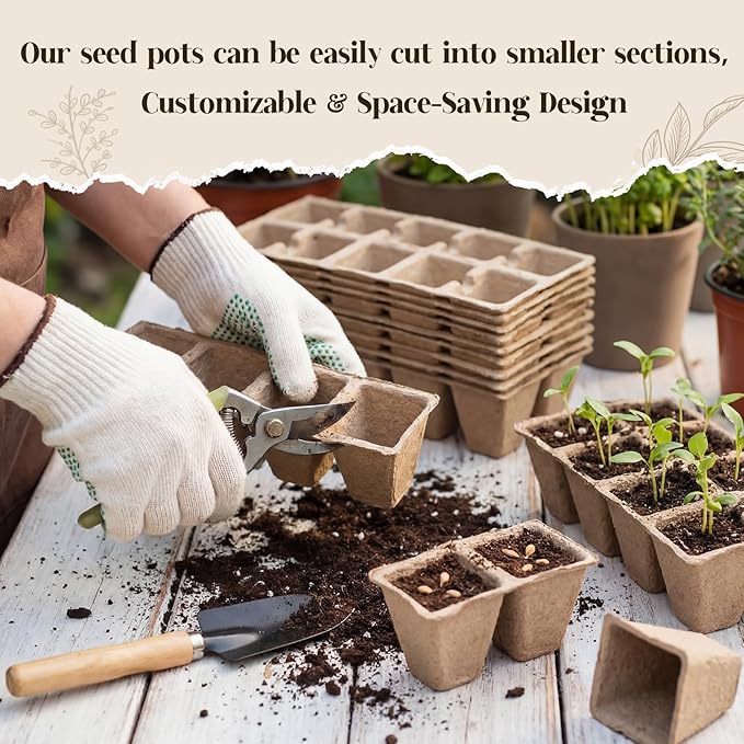 200 Cells Seed Starter Tray, 20 Pcs Biodegradable Plant Starter Peat Pots(Including T-Type Labels & Starter Tools)– Eco-Friendly Gardening Supplies, No Transplant Needed