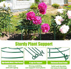 8 Pack Peony Cages and Supports, 11.5" Dx16 H Plant Supports for Outdoor Plants, Heavy Duty Metal Peony Support Cage Flower Support Rings, Plant Support Ring for Rose Tomato Hydrangea Strawberry