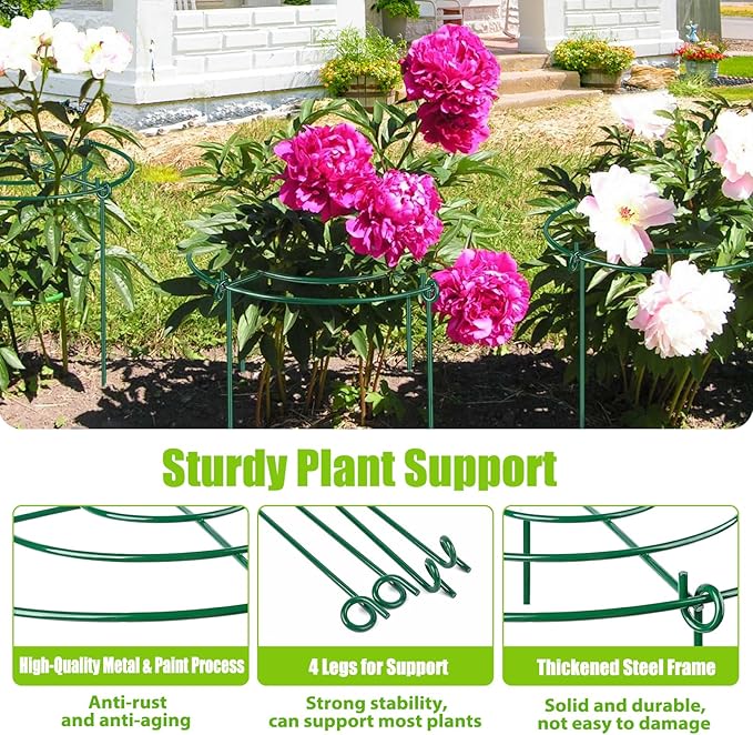 8 Pack Peony Cages and Supports, 11.5" Dx16 H Plant Supports for Outdoor Plants, Heavy Duty Metal Peony Support Cage Flower Support Rings, Plant Support Ring for Rose Tomato Hydrangea Strawberry