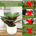Realistic Artificial Potted Desk Plant Faux Calathea in Ceramic Pot, 8.7" Small Faux Greenery Fake Prayer Plant for Desk, Bathroom, Office, or Home Decor (Evergreen, Maintenance Free)