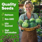 HOME GROWN Cabbage Seeds 7 Variety Mix 2000+ Heirloom Non-GMO, High Germination, Bok Choy, Red & Green Acre, Savoy, Napa Michihili, Copenhagen Market, Jersey Wakefield, Cold Hardy