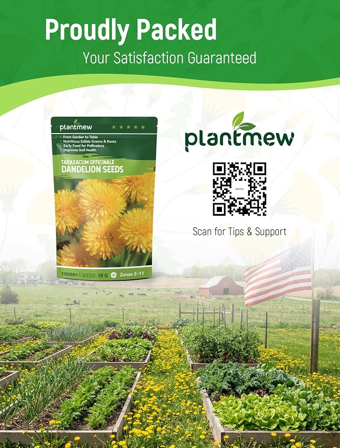 Dandelion Seeds for Planting - 4,000+ Heirloom Dandelion Herb Seeds (Taraxacum officinale), Edible Leaves Flowers Roots, Medicinal Garden, Pollinator-Friendly