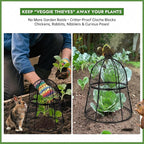 Decoroca 6 PCS Garden Cloches for Plants - Chicken Wire Plant Protectors from Animals, Outdoor Plant Cages to Keep Squirrels, Rabbits & Birds Out of Vegetable - DIY in 5 Forms - Sturdy Anti-Rust Dome