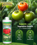 FoxFarm Grow Big Liquid Plant Food - 6-4-4 House Plant Fertilizer for Lush Vegetative Growth, Fast Nutrient Uptake for Roses, Tomatoes & Veggies - Quart Size Concentrate