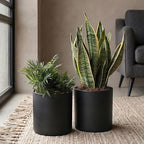 Metal Plant Pot with Drainage Hole,Mid Century Modern 7 inch Round Pot Indoor Outdoor Planters Gift for Decorative Pots of Tabletop Living Room Bedroom Black