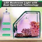 Meonum Large Still Air Box Mushroom Grow Tent, 30x20x20 in Mycology Fume Hood Propagation Stations with LED Growing Light and Thermometer, Monotub Kit for Grow Bags, Growers, Home Scientists(Green)