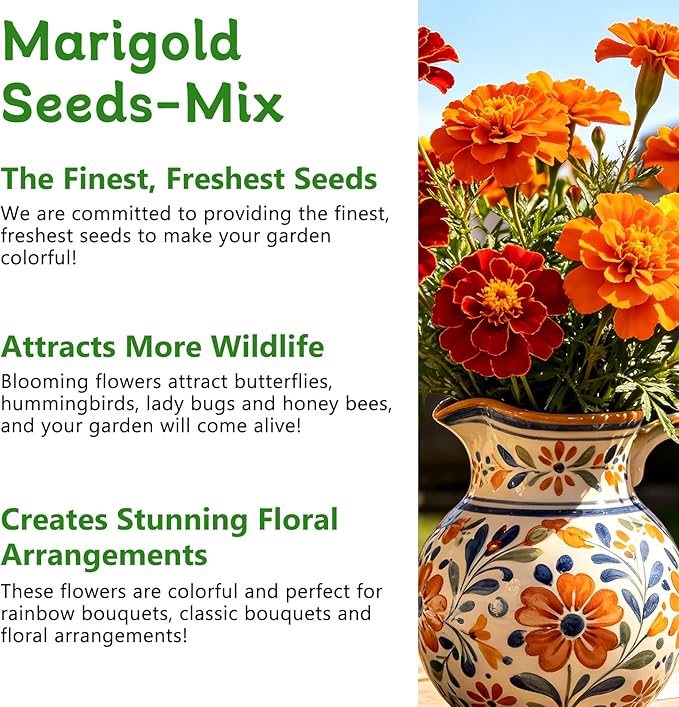 LUOJIBIE Marigold Seeds, 12,000+ Marigold Seeds for Planting Outdoor & Indoor, Flower Seeds Bulk for Gardening and Home, Non-GMO Heirloom, Easy to Grow
