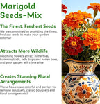 LUOJIBIE Marigold Seeds, 6,000+ Marigold Seeds for Planting Outdoor & Indoor, Flower Seeds Bulk for Gardening and Home, Non-GMO Heirloom, Easy to Grow