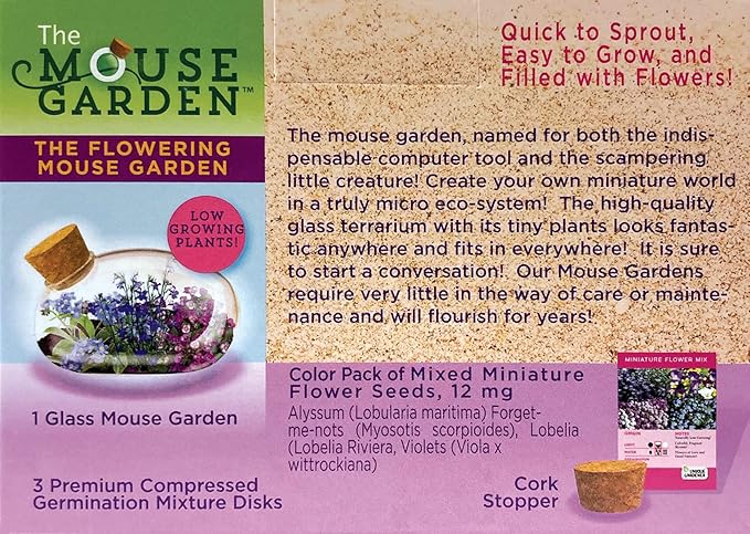 Unique Gardener Mini Office Flower Glass Terrarium Starter Kit with Complete Supplies - The Flowering Mouse Tiny Garden - Easy to Maintain IndoorPlants - Perfect for The Office Or Home Tabletop