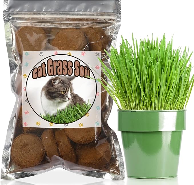 Doter Organic Potting Soil for Indoor Cat Grass, Great Seedling Soil for Wheat Grass, Bermuda, Catnip, and All Indoor Herb Plants