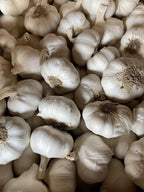 Garlic Seed Bulbs, Large Cloves, Cold Hardy, Bold Flavor (10)