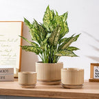 Beige Ceramic Planter Set of 3, 4.3+5.5+6.7 Inch Indoor Plant Pots with Drainage Hole, Saucer & Mesh Pads, Ceramic Striped Decorative Plant Pots for Garden Pots, Outdoor and Indoors Planters
