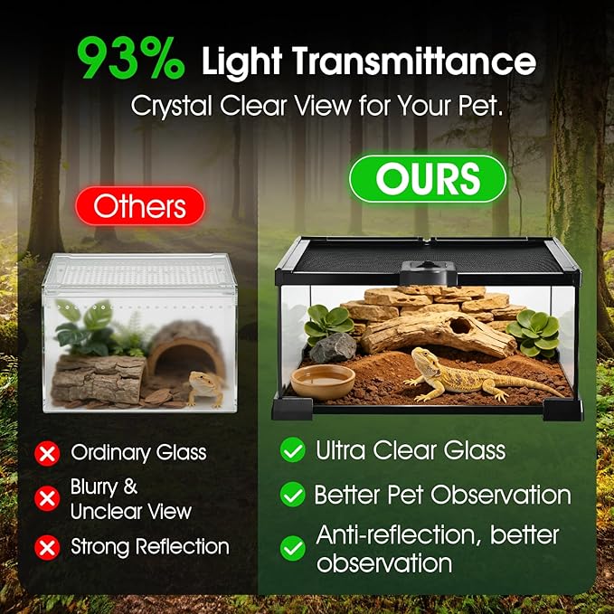 Reptile Terrarium Glass Kit 12" x 8" x 6" Starter Habitat for Tarantula, Succulents, Frogs, or Hermit Crabs, Tank with Escape-Proof Locking Lid