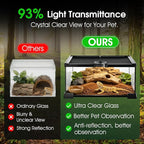 Reptile Terrarium Glass Kit 12" x 8" x 6" Starter Habitat for Tarantula, Succulents, Frogs, or Hermit Crabs, Tank with Escape-Proof Locking Lid