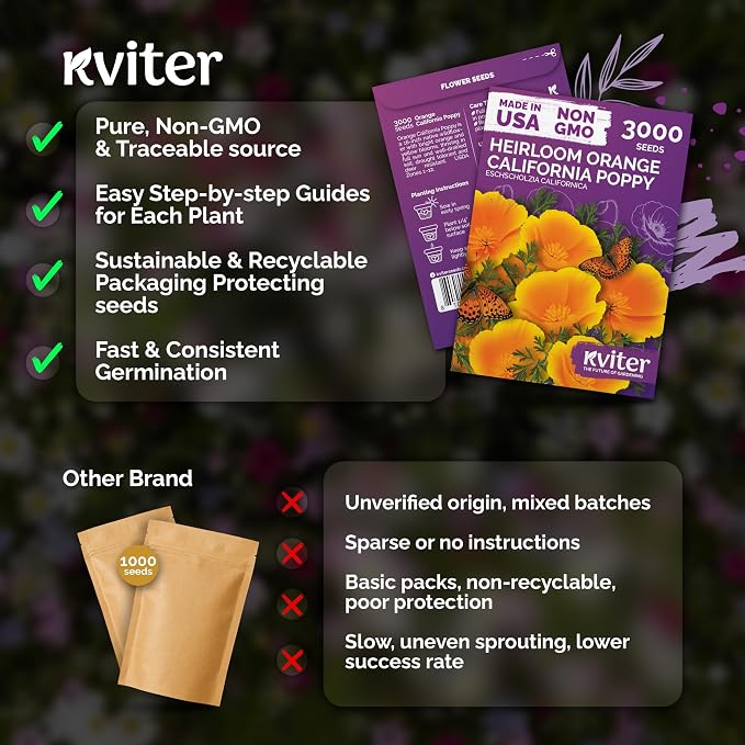 KVITER 3000 Orange California Poppy Seeds (Eschscholzia Californica) - Californian Poppy, Drought Tolerant Wildflower, Orange Flower Seed Packets - Flower Seeds for Outdoor Garden, Meadow, Cut Flowers