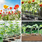 Thealyn 24 Inch 20 Packs Plant Support Stakes, Garden Single stemmed Plant Support Hoops Plant Prop for Flowers Orchid Tomatoes Peony Lily Rose Gladiolus (24 inch)