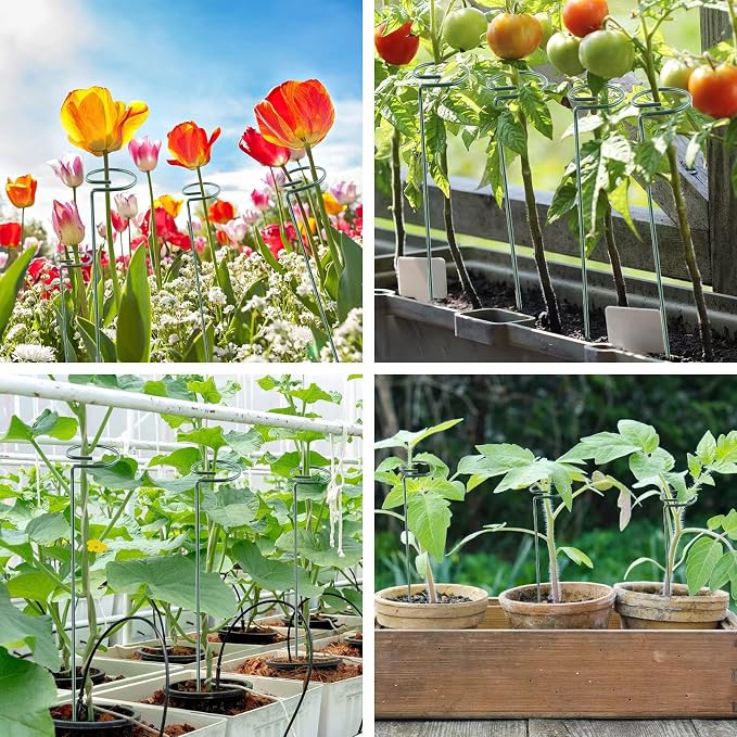 Thealyn 36 Inch 12 Packs Plant Support Stakes,Garden Single stemmed Plant Support Hoops, Plant Prop, for Flowers,Orchid, Tomatoes Peony Lily Rose (36 inch)