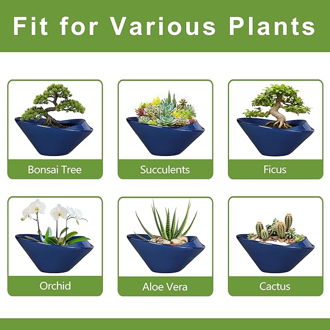 Bonsai Tree Pot 13 Inch - Ceramic Succulent Pots Large Bonsai Planter for Indoor Outdoor Plants Decorative Plant Pot with Drainage Hole Flower Pot for House Garden Room Home Decor Blue