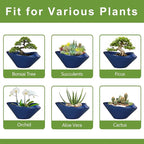 Bonsai Tree Pot 13 Inch - Ceramic Succulent Pots Large Bonsai Planter for Indoor Outdoor Plants Decorative Plant Pot with Drainage Hole Flower Pot for House Garden Room Home Decor Blue