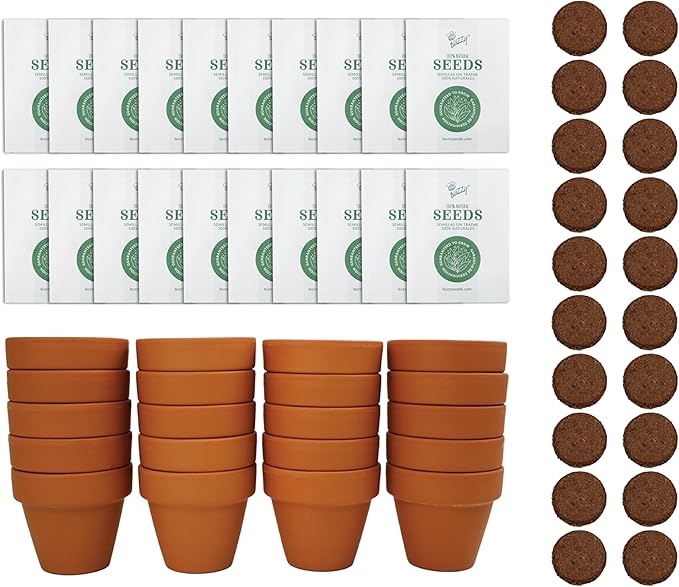 BUZZY Seeds Sunflower Seed Starter Kit Bulk 20 Pack – Mini Terracotta Grow Pots, Flower Gardening Kits for Wedding Favors & DIY Crafts