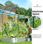 KING BIRD Raised Garden Bed with Arched Trellis Galvanized Planter Garden Box Outdoor for Gardening, Climbing Vegetables, Flowers 7.87x3.94x0.98 Ft, Silver