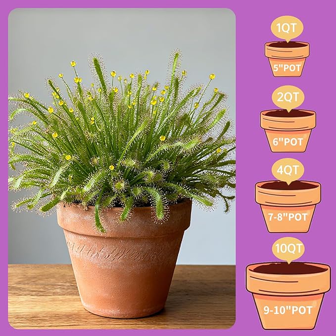 Premium Carnivorous Plant Soil for Venus Fly Trap Live Plants 4qt | New Upgraded Formula with High Drainage & Breathability