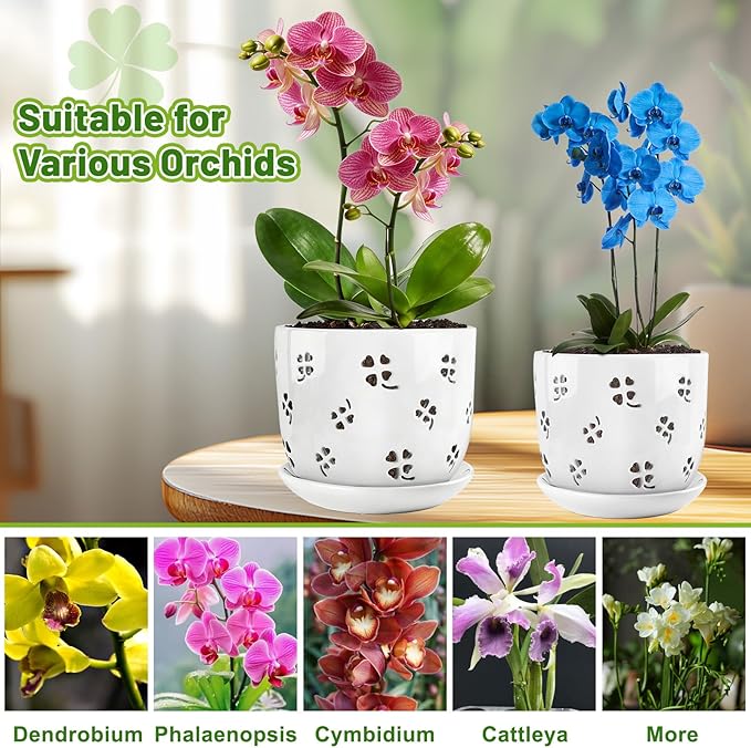 REMIAWY Orchid Pot, 6 Inch and 5 Inch Large Ceramic Orchid Planter with Drainage Holes and Saucer, Decorative Flower Pots for Indoor Outdoor Plant Repotting, Succulent, Good Air Circulation, 2 Packs