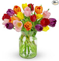 Benchmark Bouquets - Rainbow Tulips - Fresh Flowers for Delivery - Mothers Day Flowers for Mom - Mothers Day Gifts - Birthday Flowers for Women - Glass Vase Included (20 Stems)