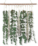 Bathroom Decor Real Eucalyptus for Shower and Lavender Fresh Eucalyptus Stems Wall Hanging Decor Fragrance Greenery Wall Hanging for Wedding Decor,Bedroom,Living Room,Kitchen,Boho Home Decor