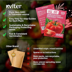 KVITER 325 Giant Beefsteak Tomatoes Seeds (Solanum lycopersicum) – Beef Steak Tomato Seed Packets Heirloom Tomatoes – Non GMO Slicing Tomato Vegetable Seeds for Planting Home Garden, Indoor & Outdoor