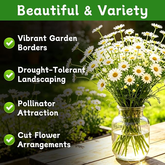 LUOJIBIE German Chamomile Seeds, 30,000+ Chamomile Flower Seeds Bulk for Planting Outdoor Indoor Garden, Heirloom & Non-GMO Matricaria Chamomilla/Recutita Herb Seeds, Easy to Grow