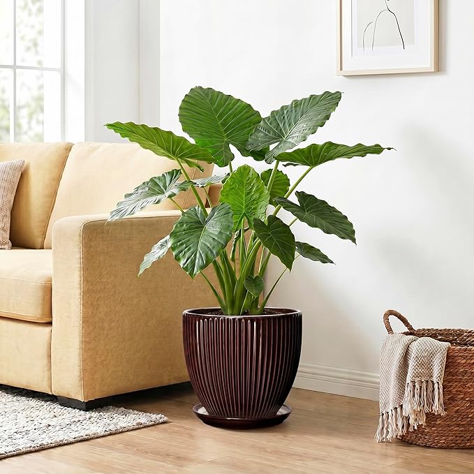 Ceramic Pots for Plants 10 Inch, Indoor Planter with Drainage Hole and Saucer, Large Round Decorative Ceramic Plant Pots, Modern Flower Planter, Patio Room Decor, Gifts for Plant Lovers, Brown