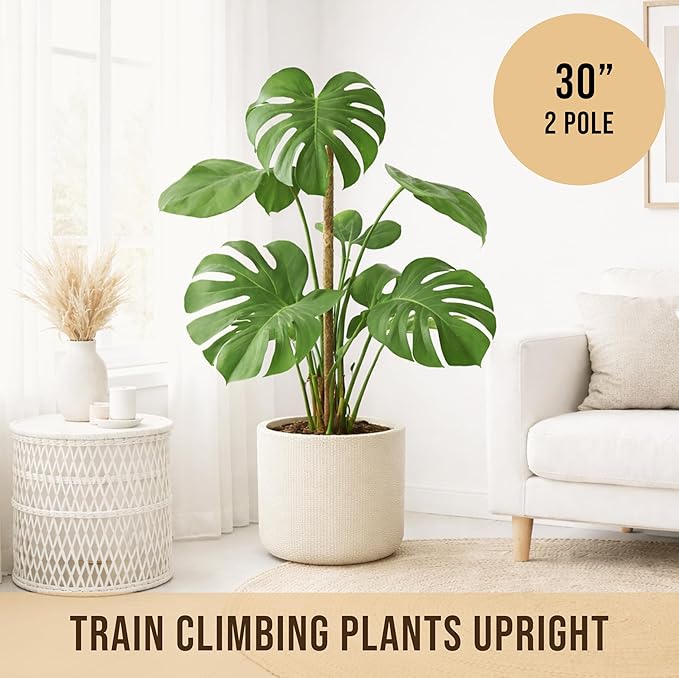 Craft911 Moss Pole Monstera Plant Support – 2 Pack 30” Bendable Moss Pole Monstera Plant Support, Plant Stakes for Indoor Plants, Tall Plant Sticks Support for Climbing Plants