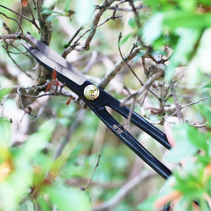 KAKURI Bonsai Twig Shears Made in Japan 8", Japanese Carbon Steel Blade, Precision Bonsai Scissors for Fine Pruning and Trimming