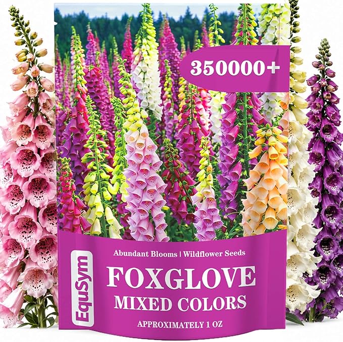 350,000+ Foxglove Seeds for Planting - Digitalis Purpurea Seeds, Tall Ornamental Flower Seeds for Outdoor Cottage and Pollinator Gardens