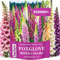350,000+ Foxglove Seeds for Planting - Digitalis Purpurea Seeds, Tall Ornamental Flower Seeds for Outdoor Cottage and Pollinator Gardens