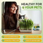 Todd's Seeds Cat Grass Seeds (1 Lb Bulk) | Premium Wheatgrass for Indoor Cats | Fast Growing Pet Grass in 5 Days | Non-GMO, Chemical Free, Hairball & Digestive Aid