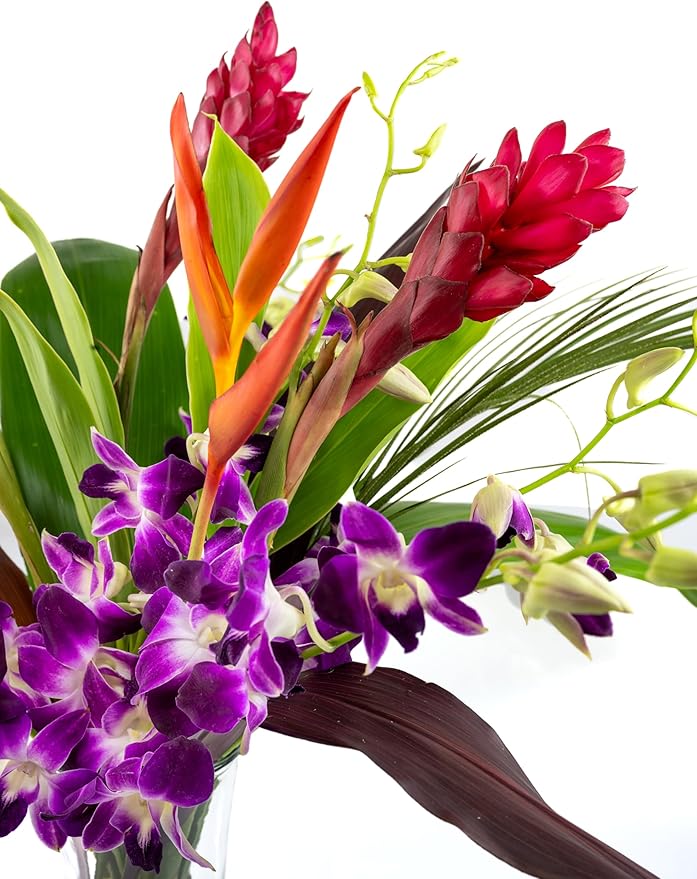 Fresh Orchids and Tropical Flower Bouquet, Purple Orchids, Red Ginger, Heliconia, Mixed Foliage, Hawaiian - PRIME QUALITY - Perfect for Birthdays, Valentine's Day, Mother's Day, Anniversaries, etc.
