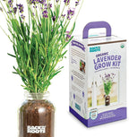 Back to The Roots Windowsill Planter: Lavender