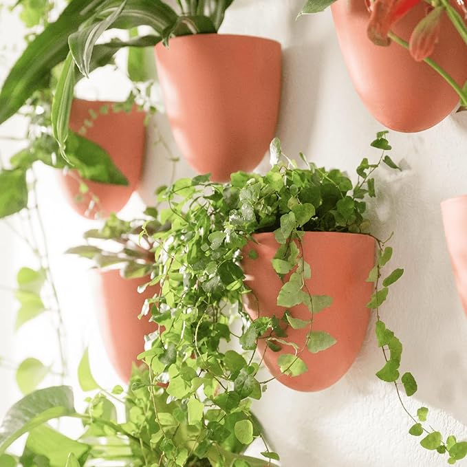 Make Good PlantPod Luxe - Self-Watering Wall Planters (Set of 6, Terracotta) - Easy to Water and Install - Lightweight - Design Your Own Vertical Garden - Wall Planters for Indoor Plants