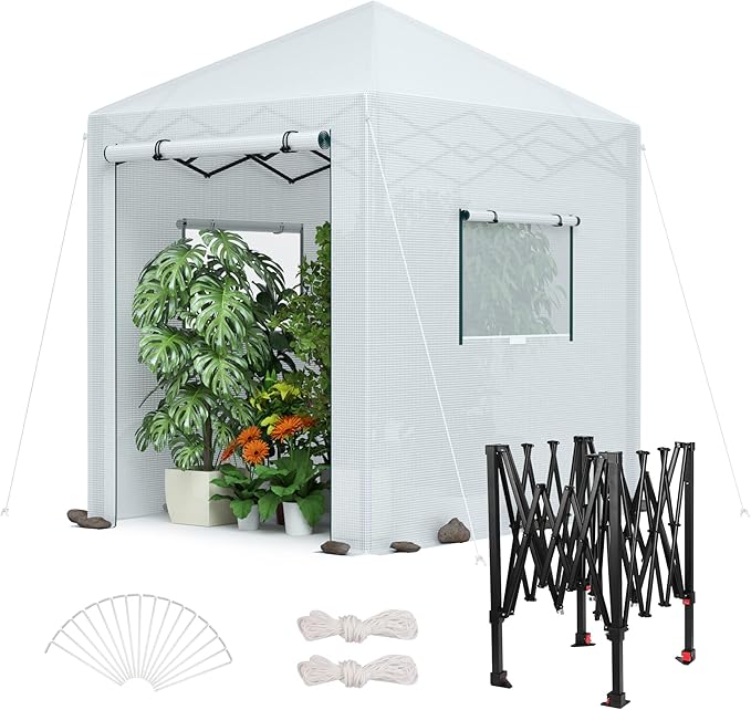 WORKPRO 8'x 6' Portable Walk-in Greenhouse, Instant Pop-up Heavy Duty Gardening Green House Canopy with Robust PE Cover, Indoor Outdoor Plant House Shed with Roll-up Entry Doors and 2 Screen Windows